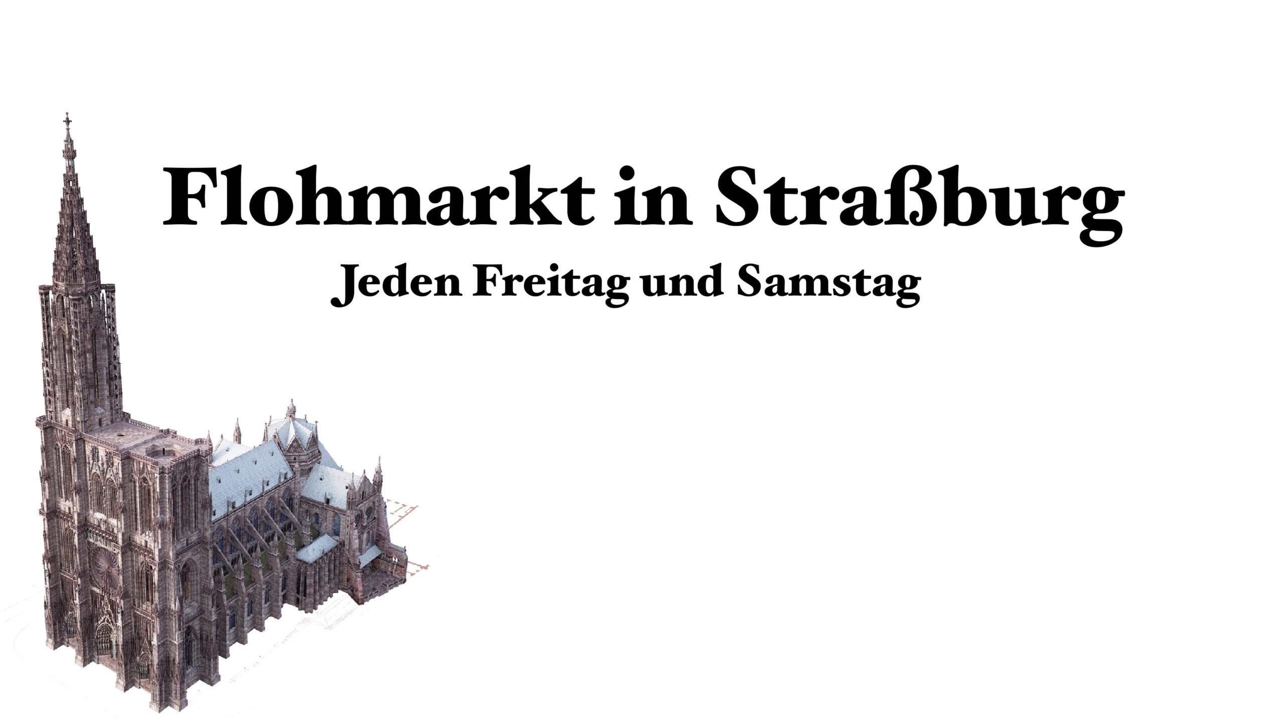 3D-Darstellung des Straßburger Münsters – Titelbild der Flohmarktseite